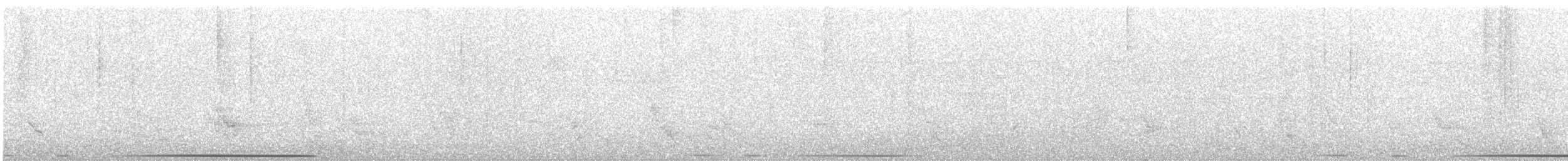Усатая перепелиная горлица - ML126607411
