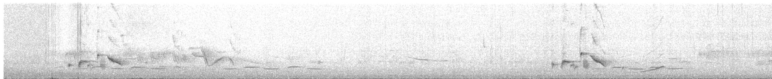 Kara Karınlı Sığırcık - ML126630661