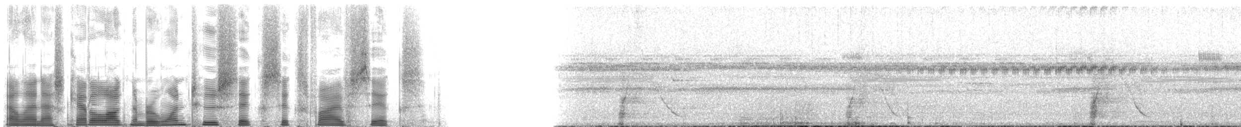 ハゲガオホウカンチョウ（fasciolata／grayi） - ML126656