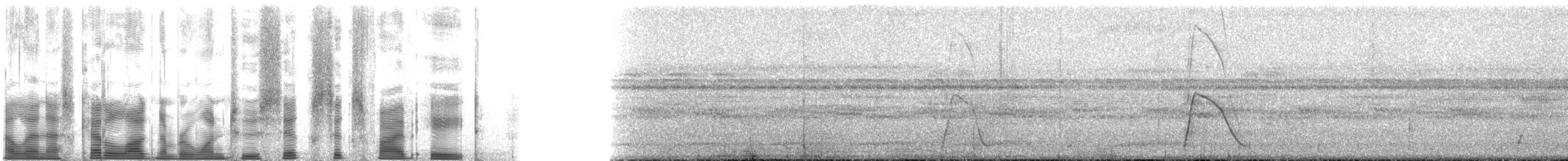 Gözlüklü Hokko (fasciolata/grayi) - ML126658