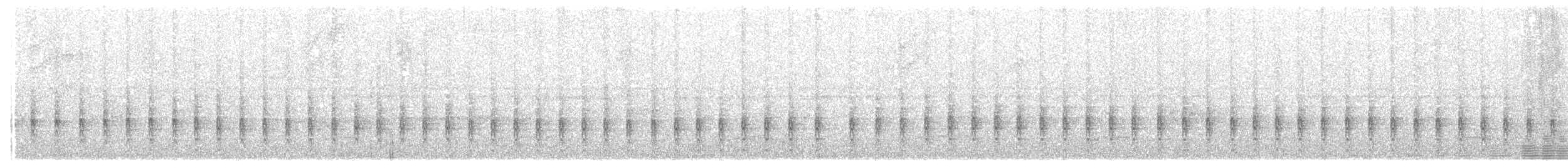 Pinto's Spinetail - ML126699131