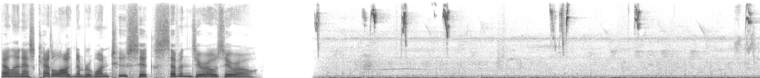 Zuckervogel [luteola-Gruppe] - ML126700