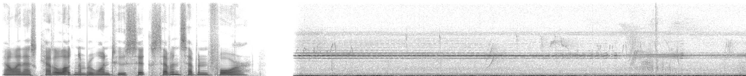 Темногрудый иглохвост - ML126774