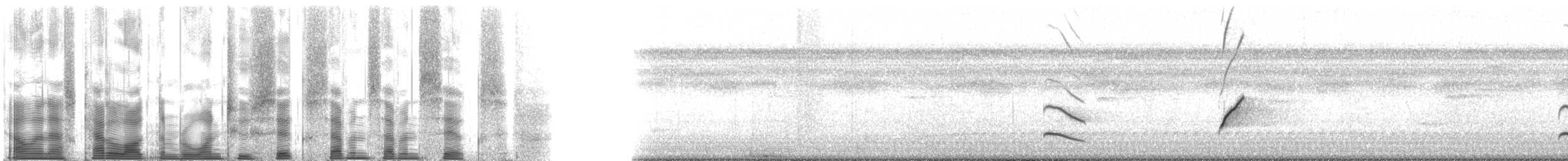 Epaulet Oriole (Epaulet) - ML126776