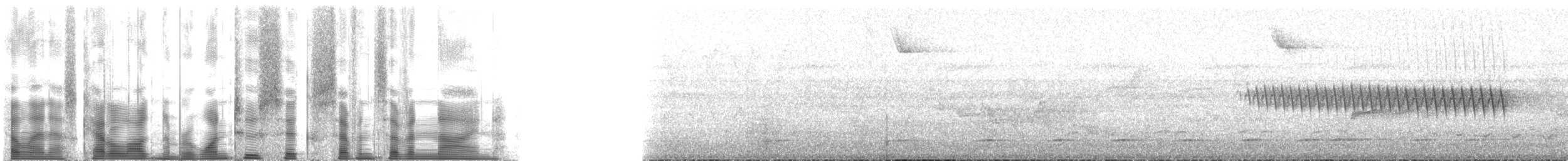 sotryggsmett - ML126779