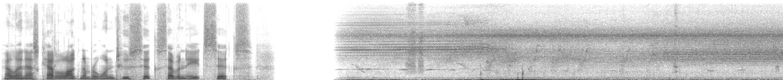 キマユミドリモズ（leucotis グループ） - ML126786