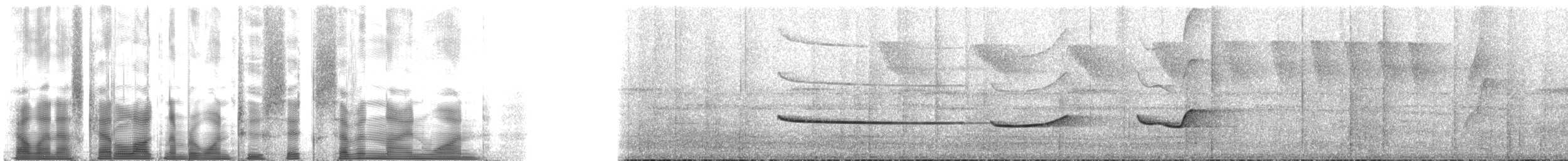 Дроздовая сельвиния [группа turdina] - ML126791