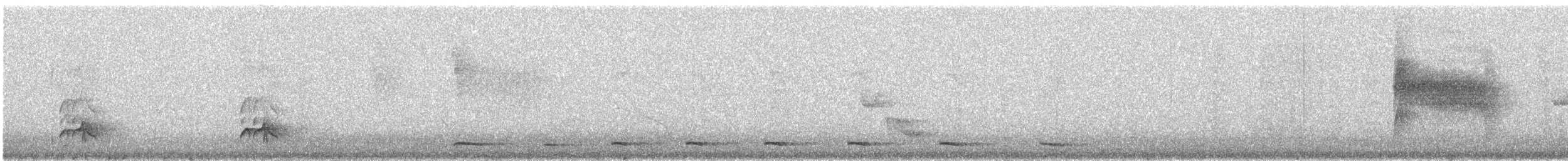 Boz Başlı Sinekkapan (nigriceps/atriceps) - ML126803651