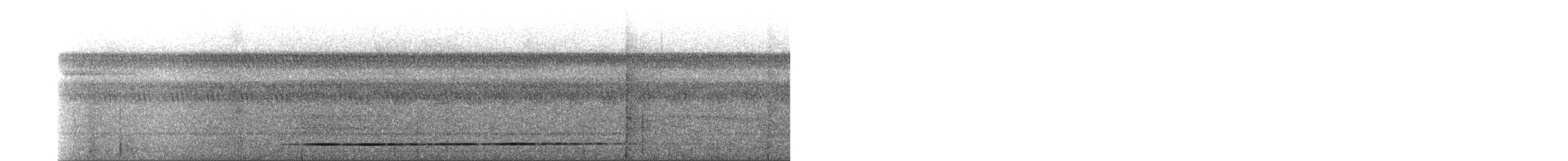 Сероногий скрытохвост - ML126811691