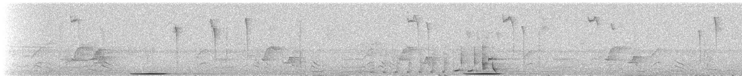 holub bledočelý - ML126815761