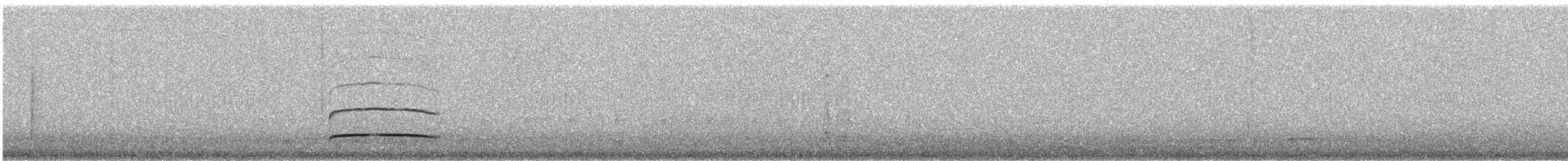 Boz Başlı Sinekkapan (nigriceps/atriceps) - ML126816381
