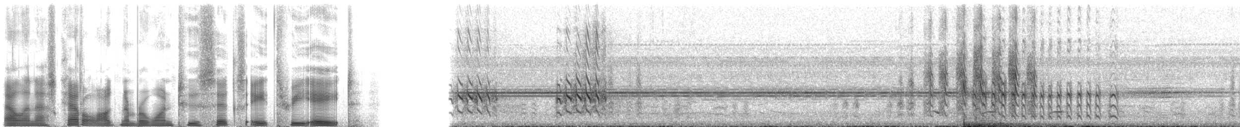 Gelbbrauenspecht - ML126838