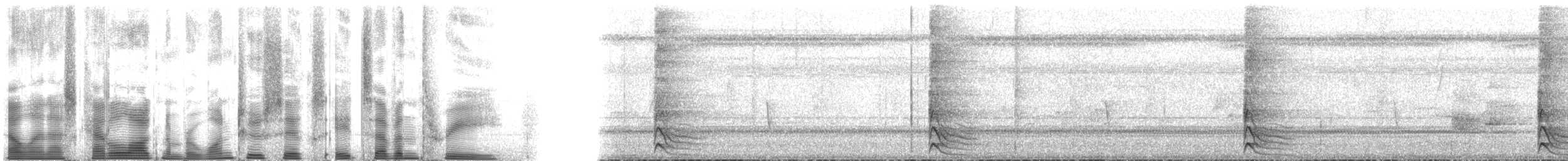 Rothalsspecht - ML126873