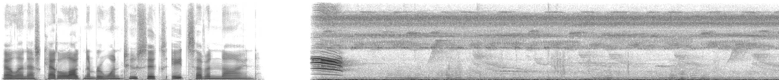 Зернолуск білогорлий - ML126879
