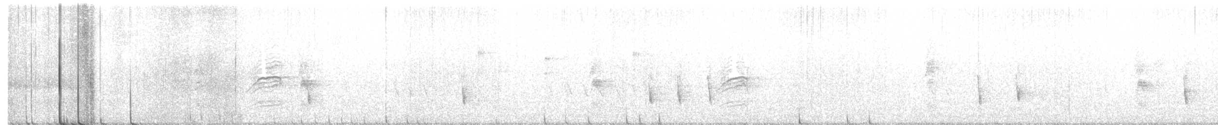 Hermit Thrush - ML126883741