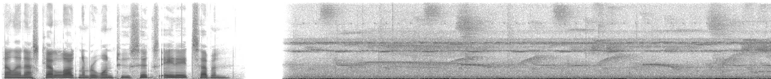 Дроздовая сельвиния [группа turdina] - ML126887