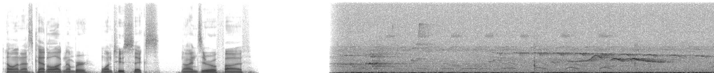 Зернолуск білогорлий - ML126905