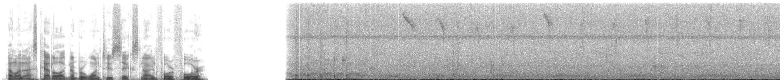 Коричневый колибри-отшельник - ML126944