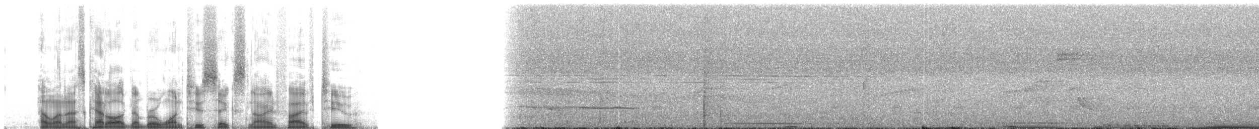 Paují Tuberoso - ML126952