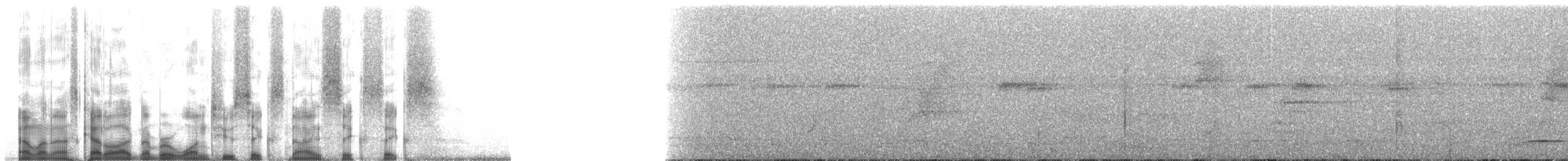 Black-tailed Trogon (Black-tailed) - ML126966