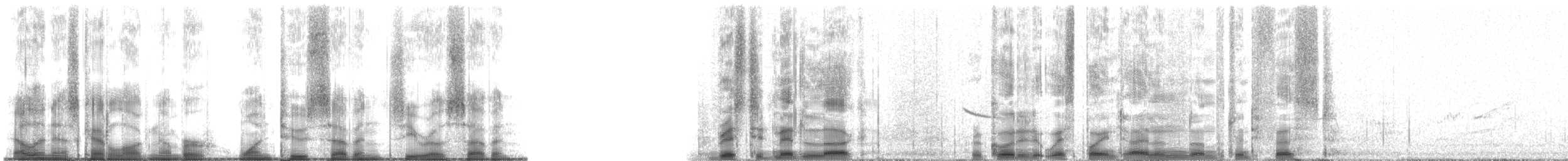 Long-tailed Meadowlark - ML12707