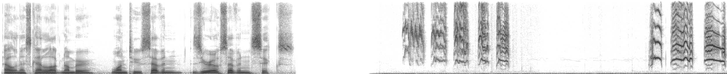 American Robin - ML127076