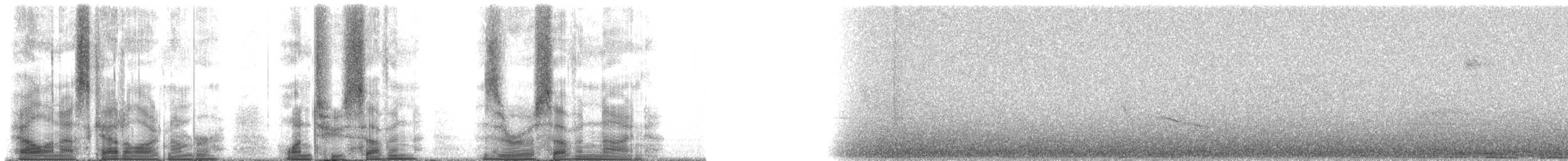 Connecticut Warbler - ML127079