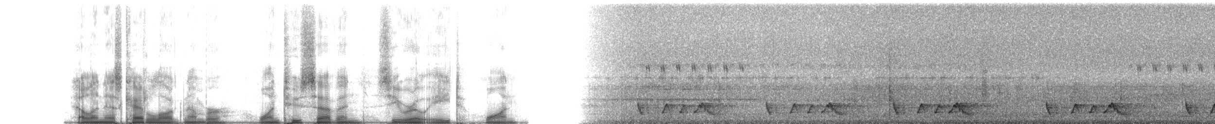 Rufous Nightjar - ML127081