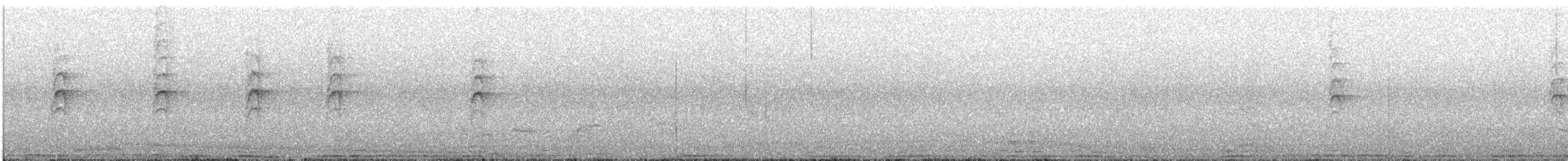 maoriviftestjert - ML127081091