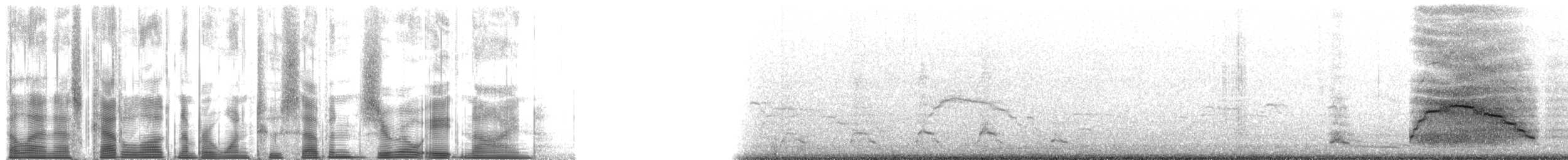 Blue-footed Booby - ML127089