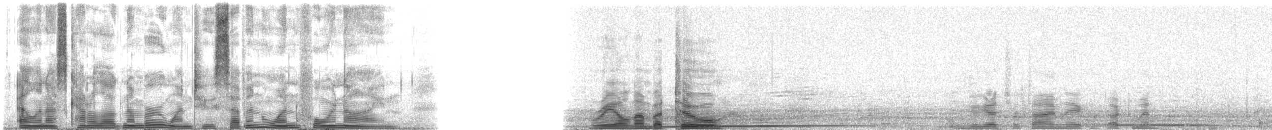 Humpback Whale - ML127149