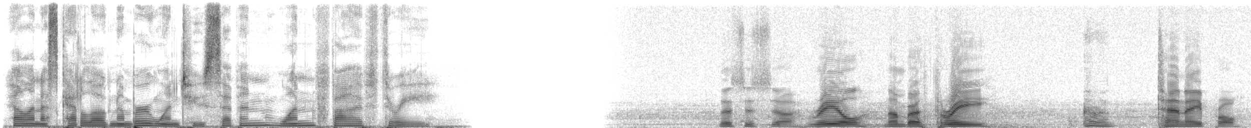 Humpback Whale - ML127153