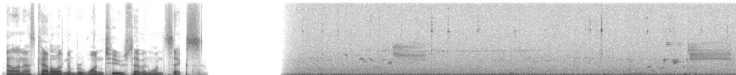 Western Meadowlark - ML12716