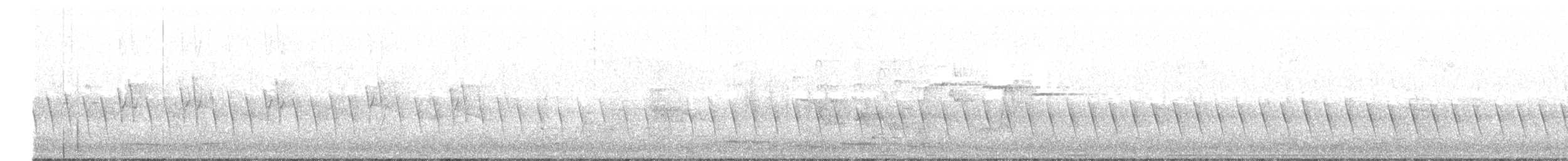 White-winged Triller - ML127166941