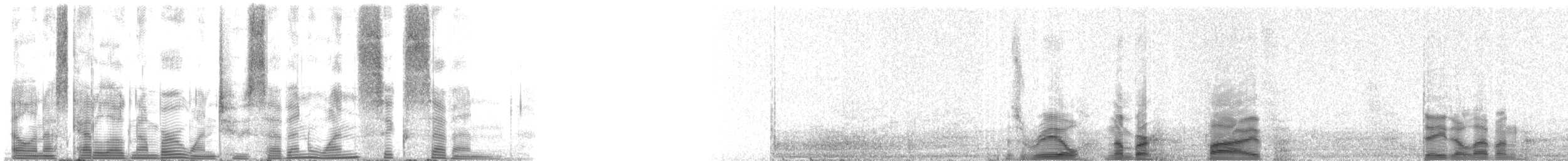 Humpback Whale - ML127167