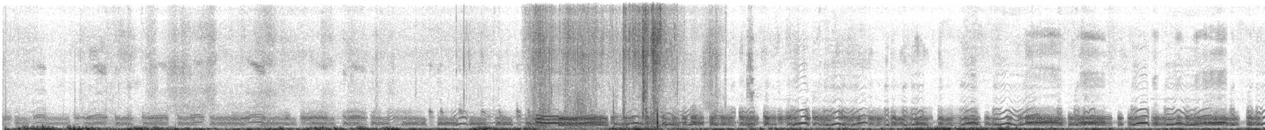 Prion de Belcher - ML127176701