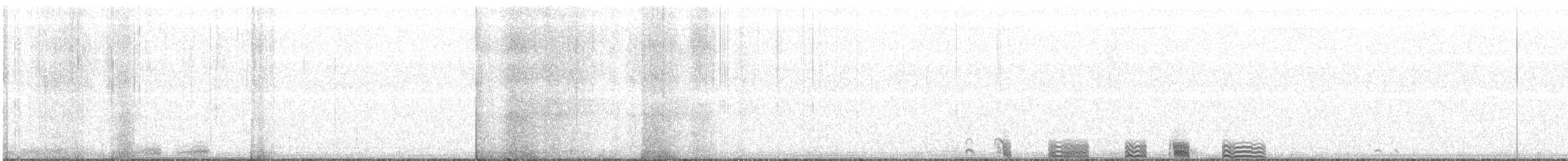 Prion de Belcher - ML127176731