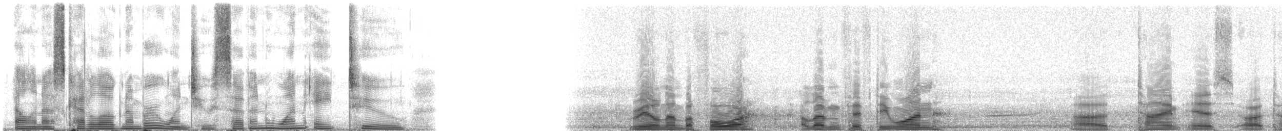 Humpback Whale - ML127182