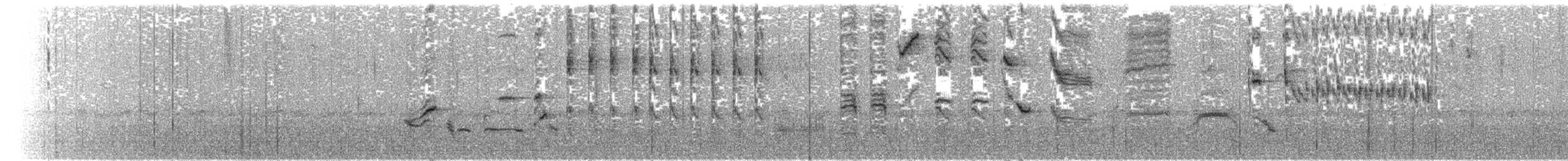 sørgefrøeter - ML127216741