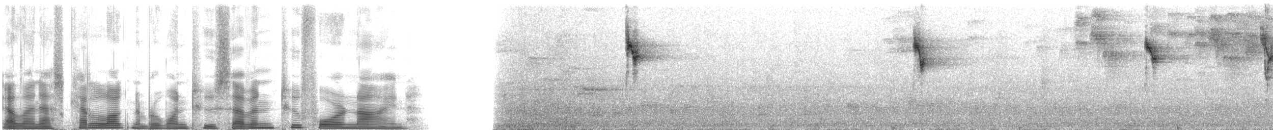Goldstreif-Waldsänger - ML127249