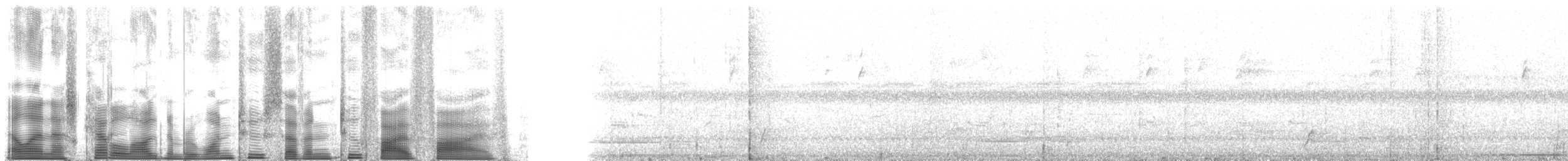 Tinamou cannelle (groupe cinnamomeus) - ML127255