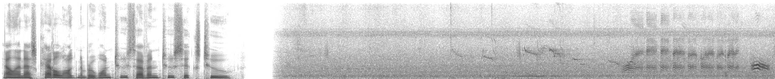 Troglodyte à nuque rousse (groupe capistratus) - ML127262