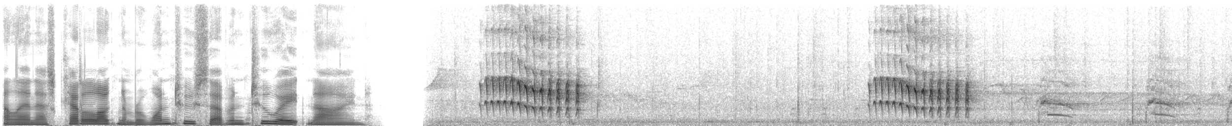 Anabate de Sclater (cervinigularis) - ML127289
