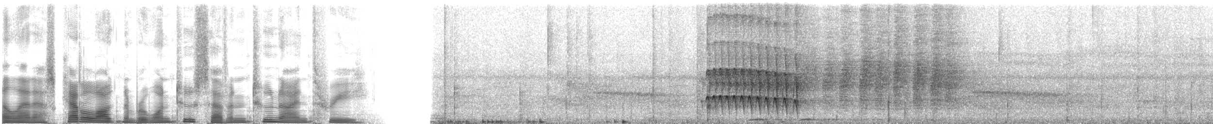 Anabate de Sclater (cervinigularis) - ML127293