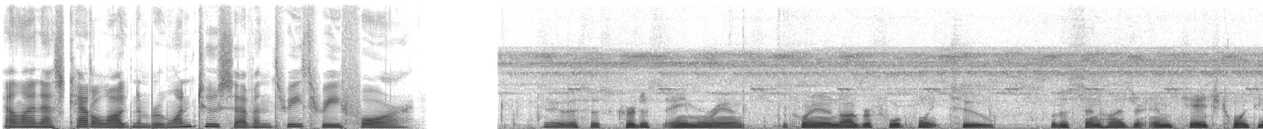 Channel-billed Toucan (Yellow-ridged) - ML127334