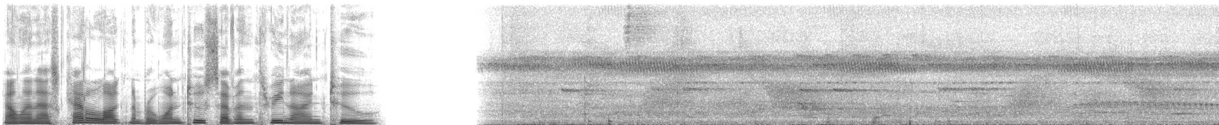 Curve-billed Scythebill (Curve-billed) - ML127392