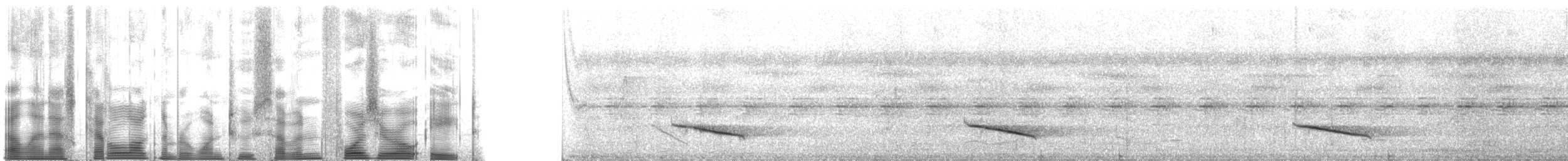 キマユミドリモズ（leucotis グループ） - ML127408