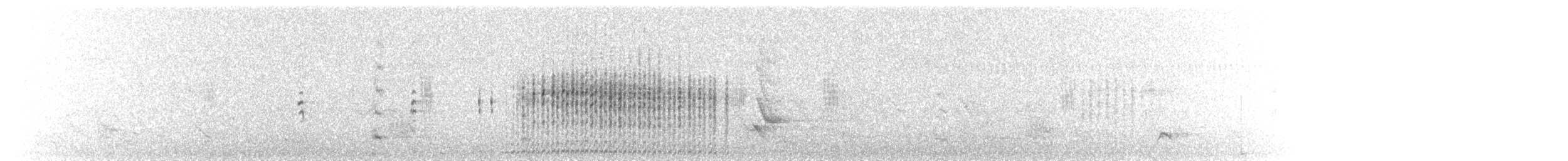 australdvergdykker - ML127409391