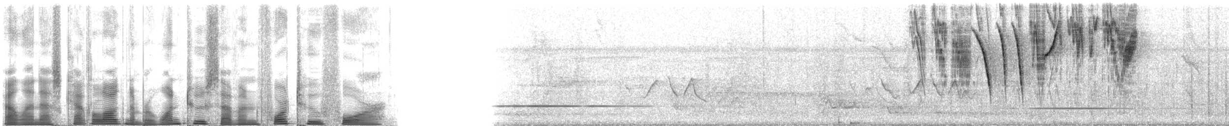 Zuckervogel [luteola-Gruppe] - ML127424