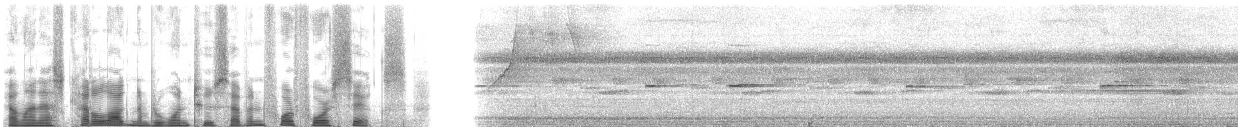 Epaulet Oriole (Epaulet) - ML127446